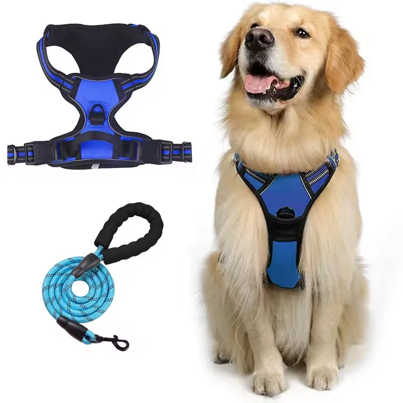 Blue harness
