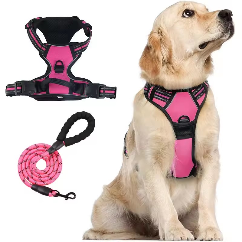 Pink harness